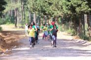 Ormanda Kondisyon ve Cross Training
